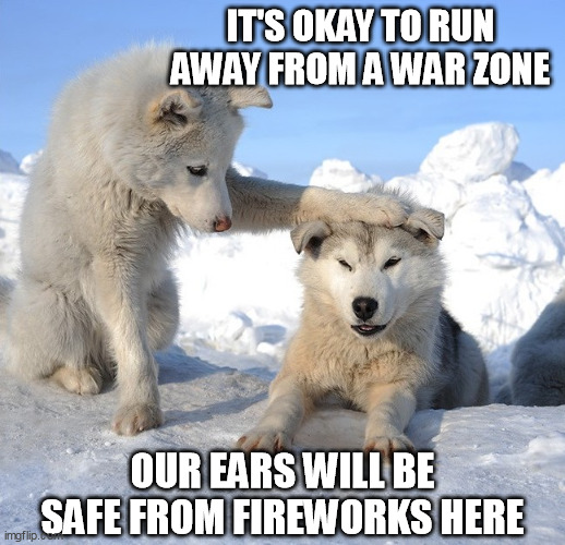 Dogs Against Fireworks, Version 2 | IT'S OKAY TO RUN AWAY FROM A WAR ZONE; OUR EARS WILL BE SAFE FROM FIREWORKS HERE | image tagged in it's ok | made w/ Imgflip meme maker