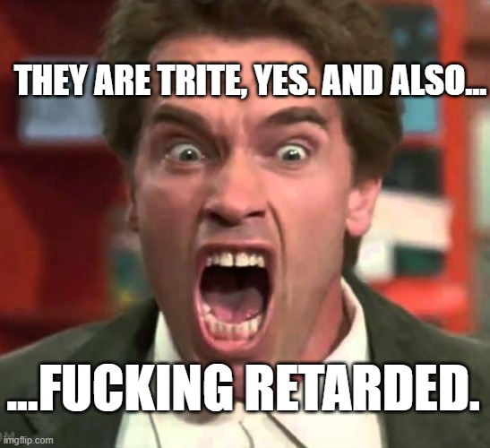Arnold yelling | THEY ARE TRITE, YES. AND ALSO... ...FUCKING RETARDED. | image tagged in arnold yelling | made w/ Imgflip meme maker