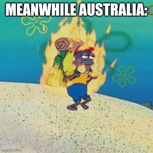 spongebob on fire | MEANWHILE AUSTRALIA: | image tagged in spongebob on fire | made w/ Imgflip meme maker