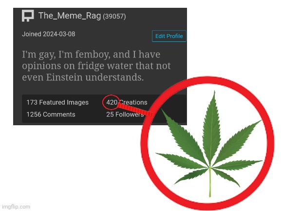 I just noticed this | image tagged in blank white template | made w/ Imgflip meme maker