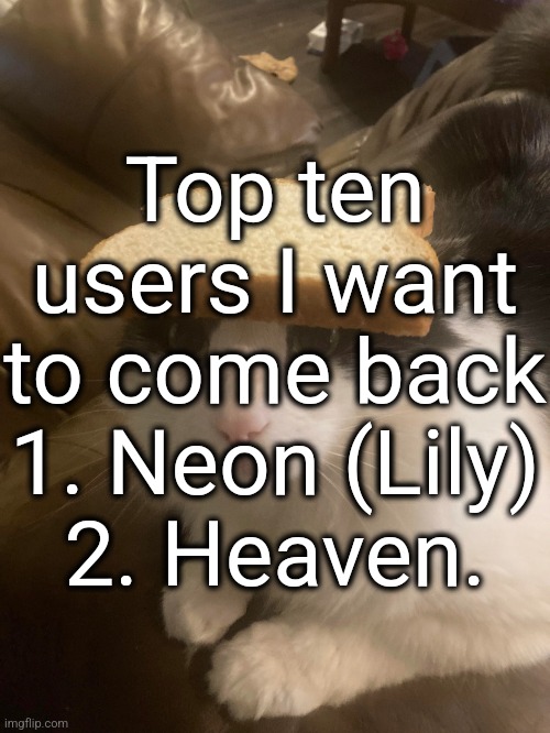 bread cat | Top ten users I want to come back
1. Neon (Lily)
2. Heaven. | image tagged in bread cat | made w/ Imgflip meme maker