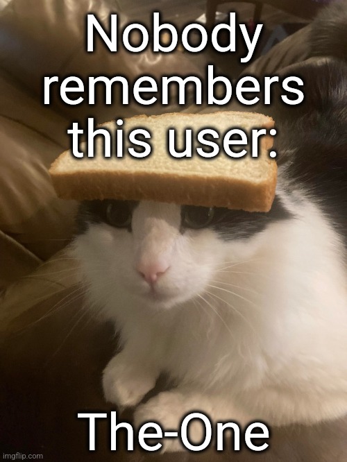 bread cat | Nobody remembers this user:; The-One | image tagged in bread cat | made w/ Imgflip meme maker