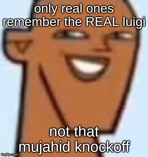 justin | only real ones remember the REAL luigi; not that mujahid knockoff | image tagged in justin | made w/ Imgflip meme maker