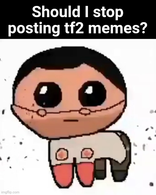 yippee | Should I stop posting tf2 memes? | image tagged in yippee | made w/ Imgflip meme maker