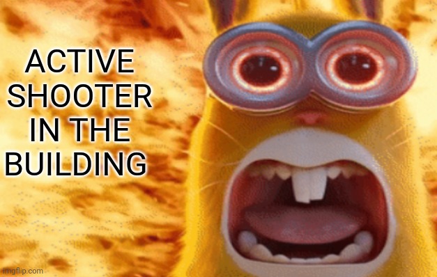 minion rabbit screaming | ACTIVE SHOOTER IN THE BUILDING | image tagged in minion rabbit screaming | made w/ Imgflip meme maker