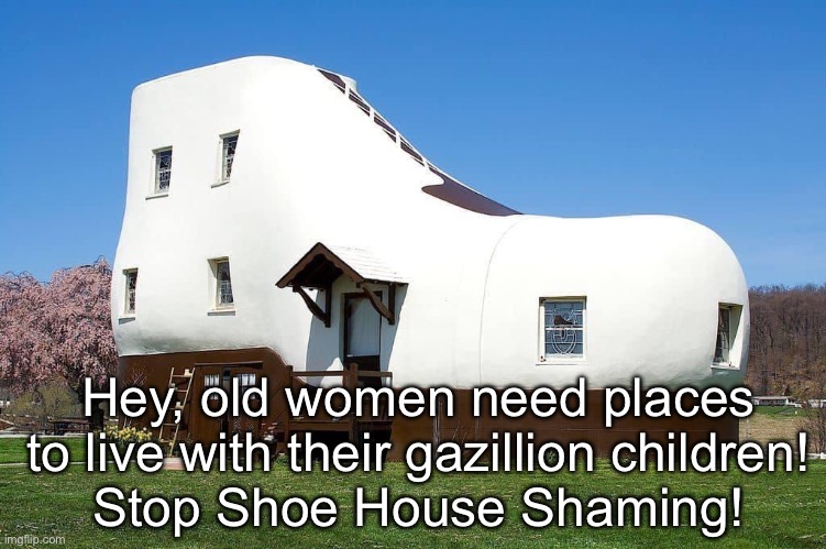 There was an old woman | Hey, old women need places to live with their gazillion children!
Stop Shoe House Shaming! | image tagged in shoe,the owl house | made w/ Imgflip meme maker