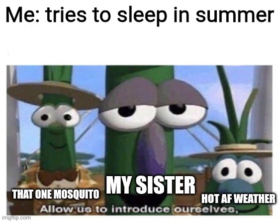 allow us to introduce ourselves. | Me: tries to sleep in summer; MY SISTER; THAT ONE MOSQUITO; HOT AF WEATHER | image tagged in allow us to introduce ourselves | made w/ Imgflip meme maker