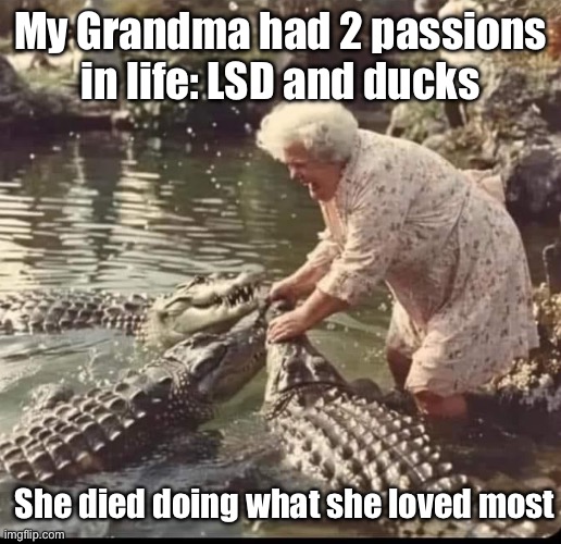 RIP Granny | My Grandma had 2 passions in life: LSD and ducks; She died doing what she loved most | image tagged in grandma,died,loved | made w/ Imgflip meme maker