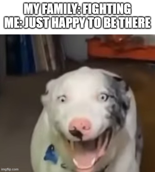 the hell dog | MY FAMILY: FIGHTING
ME: JUST HAPPY TO BE THERE | image tagged in the hell dog | made w/ Imgflip meme maker