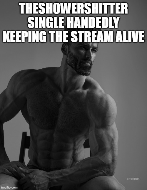 Giga Chad | THESHOWERSHITTER SINGLE HANDEDLY KEEPING THE STREAM ALIVE | image tagged in giga chad | made w/ Imgflip meme maker
