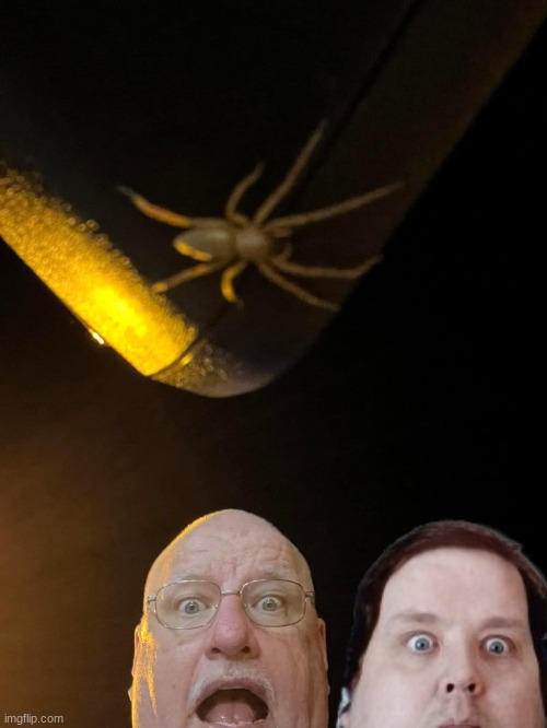 Spider Guy Shocked Face | image tagged in spider guy shocked face | made w/ Imgflip meme maker