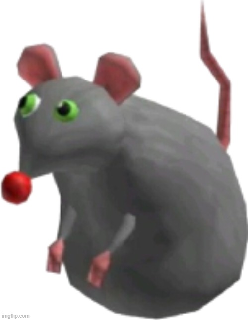 cheese rat | image tagged in cheese rat | made w/ Imgflip meme maker