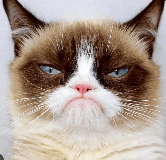 Io  arrabbiata Blank Meme Template