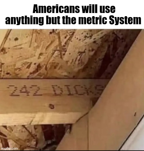 Americans will use anything but the metric System | image tagged in memes,funny,america | made w/ Imgflip meme maker