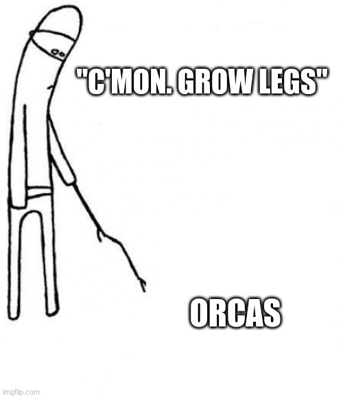 . | "C'MON. GROW LEGS"; ORCAS | image tagged in c'mon do something | made w/ Imgflip meme maker