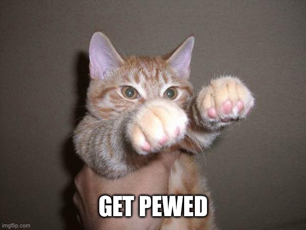 Pew Pew Cat | GET PEWED | image tagged in pew pew cat | made w/ Imgflip meme maker