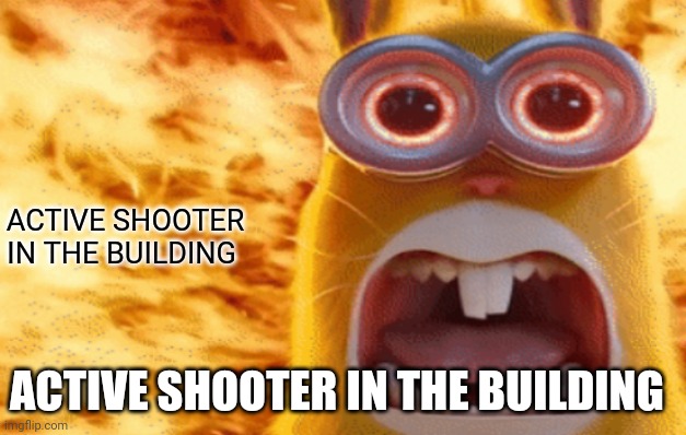 minion rabbit screaming | ACTIVE SHOOTER IN THE BUILDING; ACTIVE SHOOTER IN THE BUILDING | image tagged in minion rabbit screaming | made w/ Imgflip meme maker