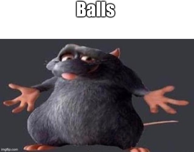 Balls Remastered | Balls | image tagged in blank white template,shrugging rat | made w/ Imgflip meme maker