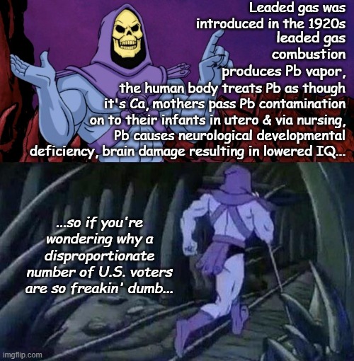 "Maybe if we hadn't leaned quite so hard into car culture..." *OR* "It Follows II: Plumbum's Curse" | Leaded gas was introduced in the 1920s; leaded gas combustion produces Pb vapor, the human body treats Pb as though it's Ca, mothers pass Pb contamination on to their infants in utero & via nursing, Pb causes neurological developmental deficiency, brain damage resulting in lowered IQ... ...so if you're wondering why a disproportionate number of U.S. voters are so freakin' dumb... | image tagged in he man skeleton advices,dumb people,science,biology,reality,lead | made w/ Imgflip meme maker