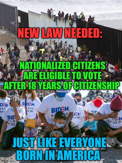 New law needed | NEW LAW NEEDED:; NATIONALIZED CITIZENS ARE ELIGIBLE TO VOTE AFTER 18 YEARS OF CITIZENSHIP; JUST LIKE EVERYONE BORN IN AMERICA | image tagged in gifs,voter fraud,illegal immigration,democratic party | made w/ Imgflip meme maker