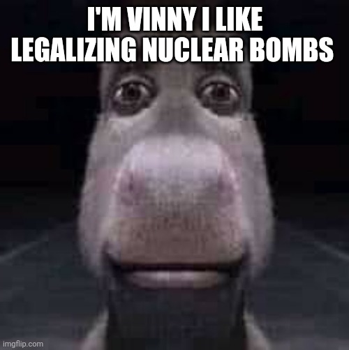 Donkey staring | I'M VINNY I LIKE LEGALIZING NUCLEAR BOMBS | image tagged in donkey staring | made w/ Imgflip meme maker