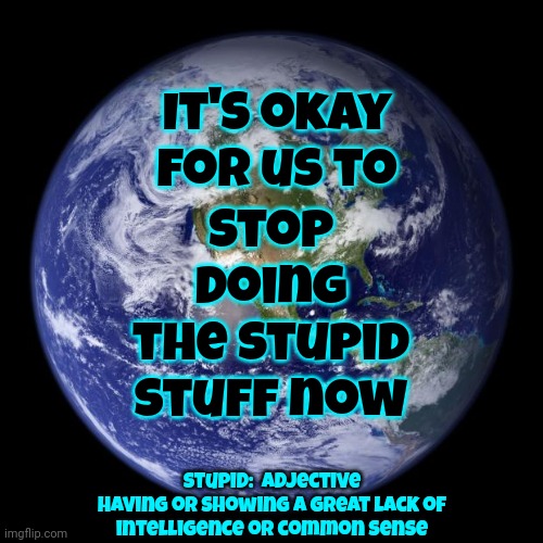 Just Sayin' | Stop doing the stupid stuff now; It's okay for us to; stupid:  adjective
having or showing a great lack of
intelligence or common sense | image tagged in earth,just sayin',seriously wtf,stupid is as stupid does,the great awakening,memes | made w/ Imgflip meme maker