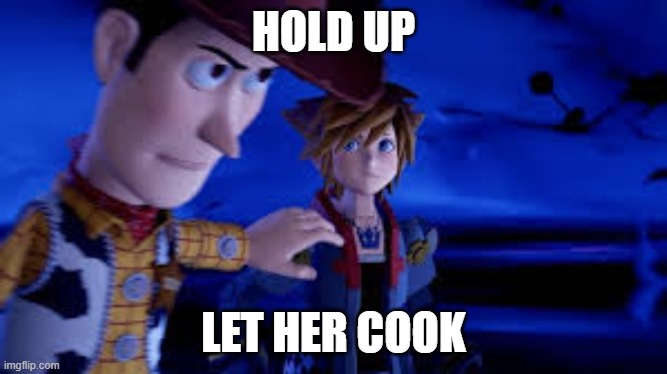 hold up let her cook | HOLD UP; LET HER COOK | image tagged in memes | made w/ Imgflip meme maker