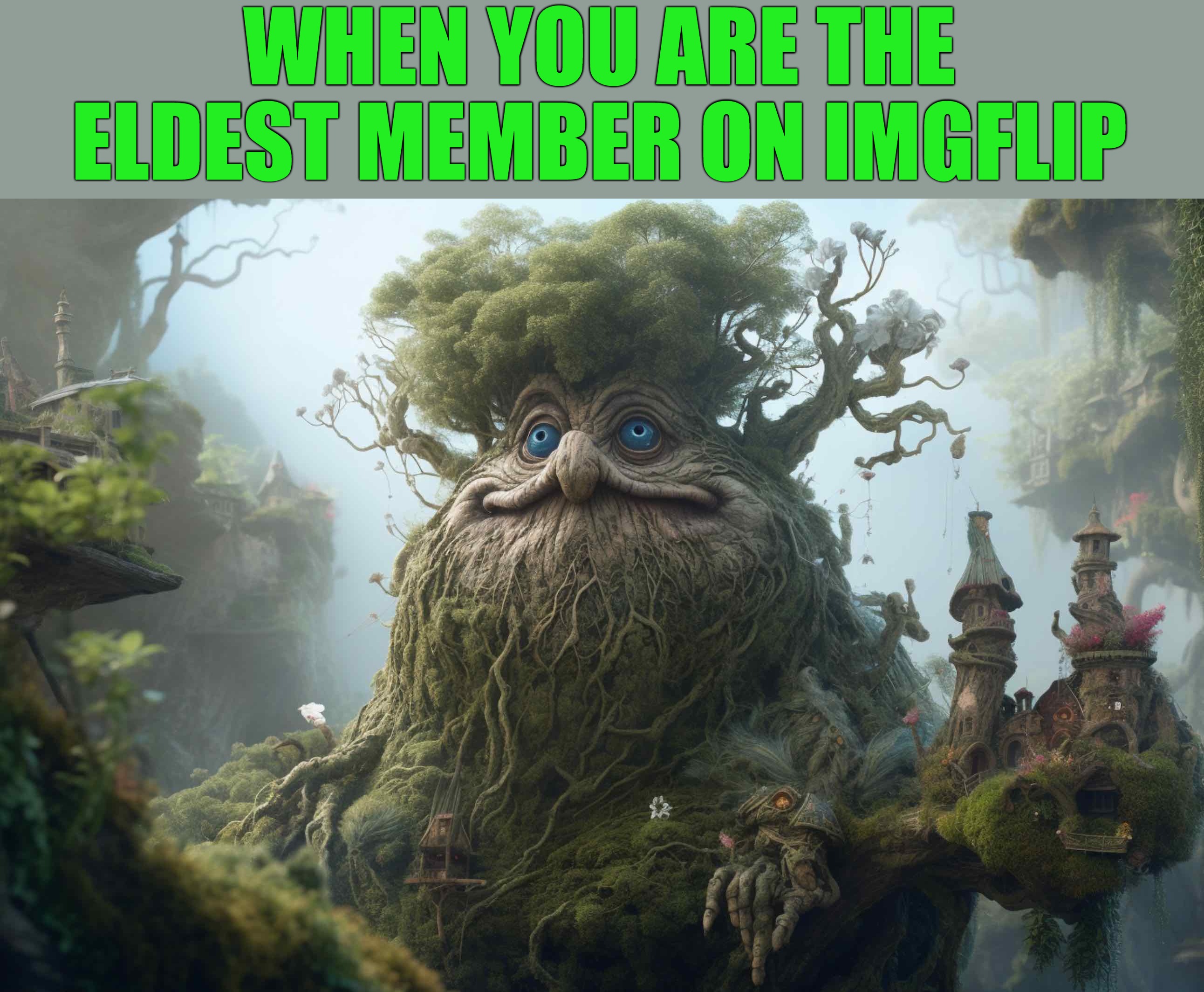 WHEN YOU ARE THE ELDEST MEMBER ON IMGFLIP | made w/ Imgflip meme maker