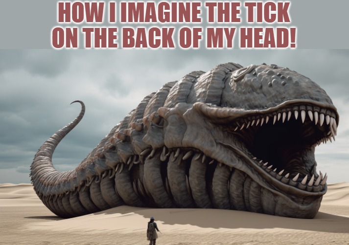HOW I IMAGINE THE TICK ON THE BACK OF MY HEAD! | made w/ Imgflip meme maker