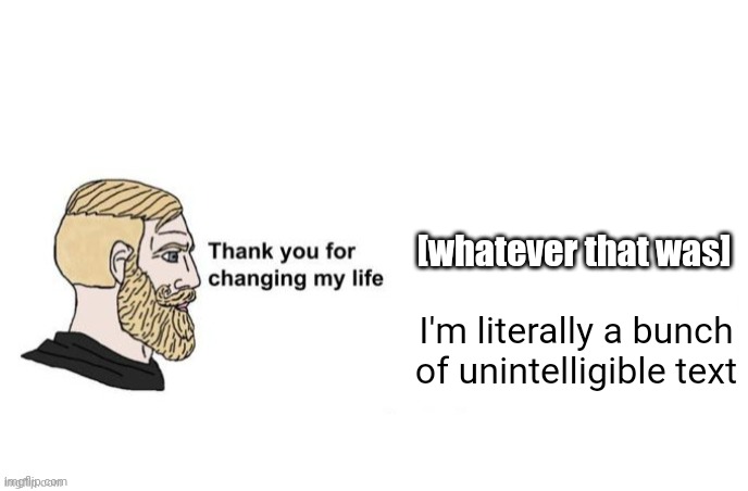 Thank you for saving my life | I'm literally a bunch of unintelligible text [whatever that was] | image tagged in thank you for saving my life | made w/ Imgflip meme maker