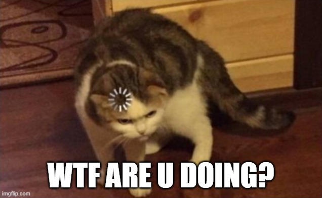 wtf are u doing? | WTF ARE U DOING? | image tagged in dumb cat brain loading | made w/ Imgflip meme maker