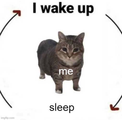 im waking up to ash and dust | me; sleep | image tagged in i wake up cat | made w/ Imgflip meme maker