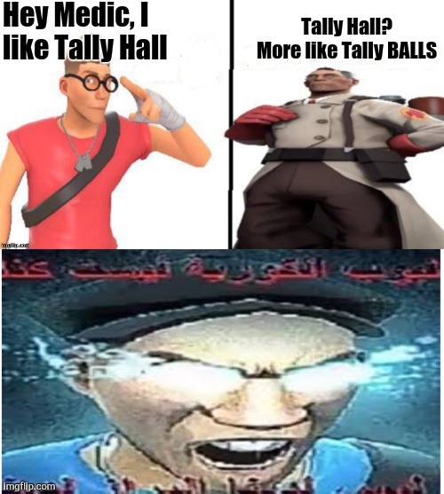 Something | Hey Medic, I like Tally Hall; Tally Hall? More like Tally BALLS | image tagged in team fortress 2,hey medic | made w/ Imgflip meme maker