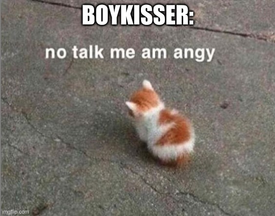 no talk me am angy | BOYKISSER: | image tagged in no talk me am angy | made w/ Imgflip meme maker