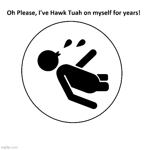 OG Hawk Tuah | image tagged in fun,funny memes,hawk tuah | made w/ Imgflip meme maker