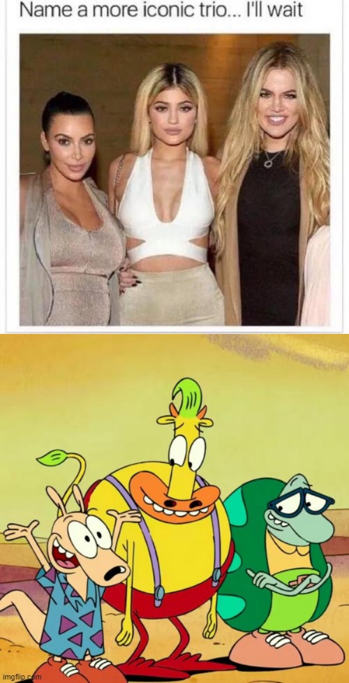 That was a hoot | image tagged in name a more iconic trio,rocko's modern life,nickelodeon | made w/ Imgflip meme maker