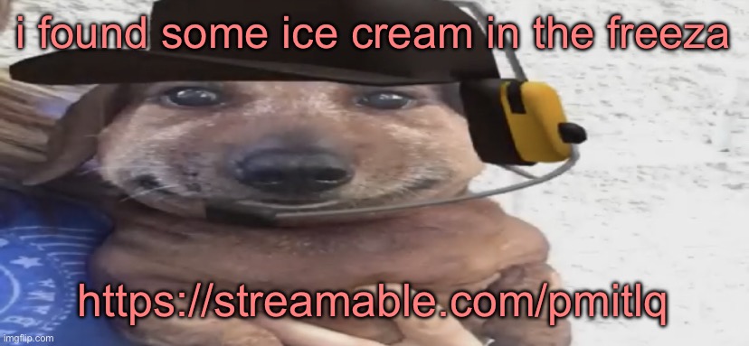 chucklenuts | i found some ice cream in the freeza; https://streamable.com/pmitlq | image tagged in chucklenuts | made w/ Imgflip meme maker