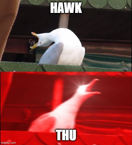 screaming duck | HAWK; THU | image tagged in screaming duck | made w/ Imgflip meme maker