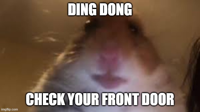 facetime hamster | DING DONG CHECK YOUR FRONT DOOR | image tagged in facetime hamster | made w/ Imgflip meme maker