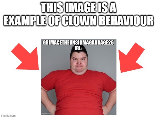 This image is a example of clown behaviour | image tagged in this image is a example of clown behaviour | made w/ Imgflip meme maker