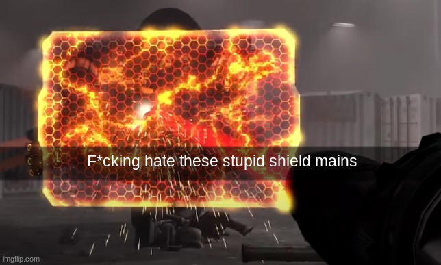 Insert title | F*cking hate these stupid shield mains | image tagged in image tags,shield | made w/ Imgflip meme maker