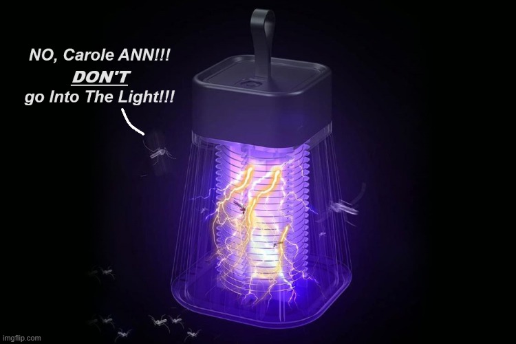 DON'T go Into The Light!!! | image tagged in afterlife | made w/ Imgflip meme maker