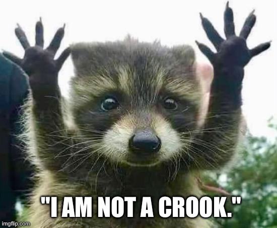 Raccoon Nixon | "I AM NOT A CROOK." | image tagged in raccoon,nixon,richard nixon,crook,president | made w/ Imgflip meme maker