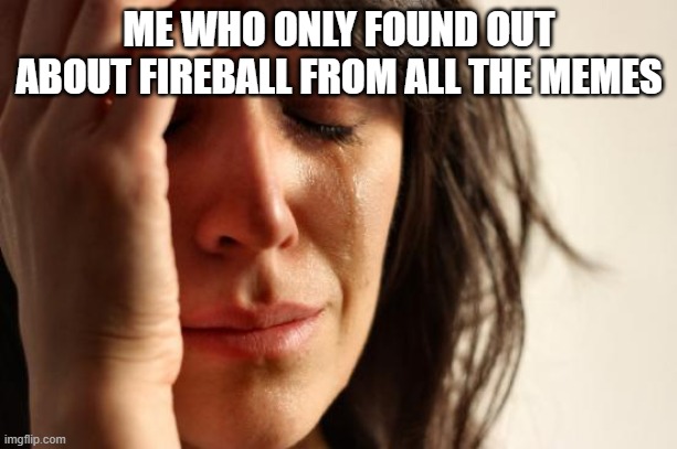 First World Problems Meme | ME WHO ONLY FOUND OUT ABOUT FIREBALL FROM ALL THE MEMES | image tagged in memes,first world problems | made w/ Imgflip meme maker