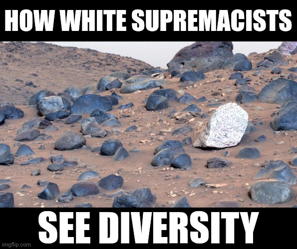HOW WHITE SUPREMACISTS; SEE DIVERSITY | image tagged in white supremacy,rocks in their heads,mars attacks | made w/ Imgflip meme maker