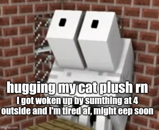 ZAYUMMMMMM | hugging my cat plush rn; I got woken up by sumthing at 4 outside and I'm tired af, might eep soon | image tagged in zayummmmmm | made w/ Imgflip meme maker