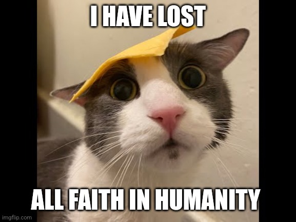 Zoink Cat | I HAVE LOST ALL FAITH IN HUMANITY | image tagged in zoink cat | made w/ Imgflip meme maker