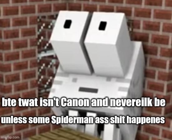 ZAYUMMMMMM | bte twat isn't Canon and nevereilk be; unless some Spiderman ass shit happenes | image tagged in zayummmmmm | made w/ Imgflip meme maker