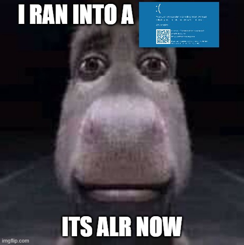 sad | I RAN INTO A; ITS ALR NOW | image tagged in donkey staring | made w/ Imgflip meme maker
