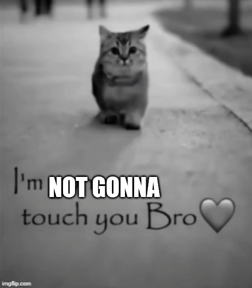 i aint | NOT GONNA | image tagged in i'm gonna touch you bro | made w/ Imgflip meme maker